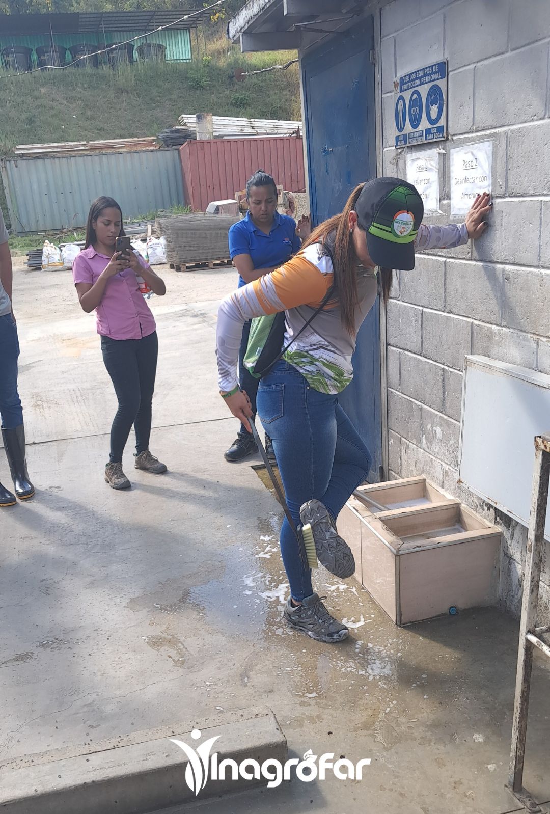 Bioseguridad en granja de gallinas ponedoras